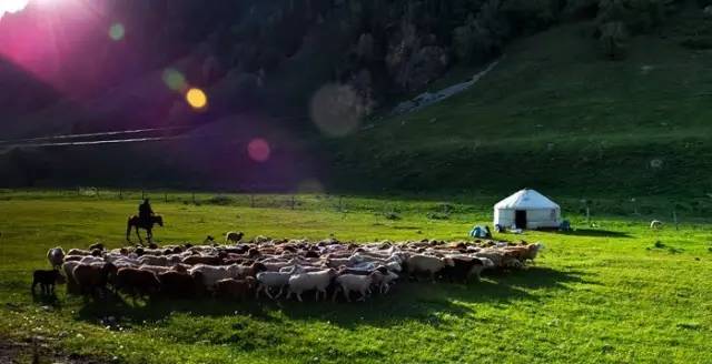 「乌孙」你为什么留在喀拉峻？