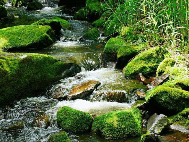 九寨沟|东北竟也有个“九寨沟”，夏季平均气温20度，景色优美却少人知