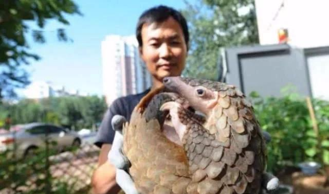 [穿山甲]男子去河边钓鱼，发现类似蛇的不明生物，了解实情后将其放生