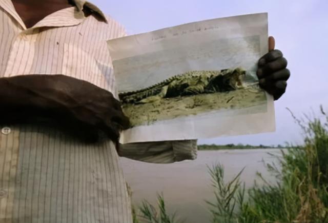 火星|传奇巨鳄古斯塔夫：传闻伤害300多人，子弹打不伤，至今下落成谜