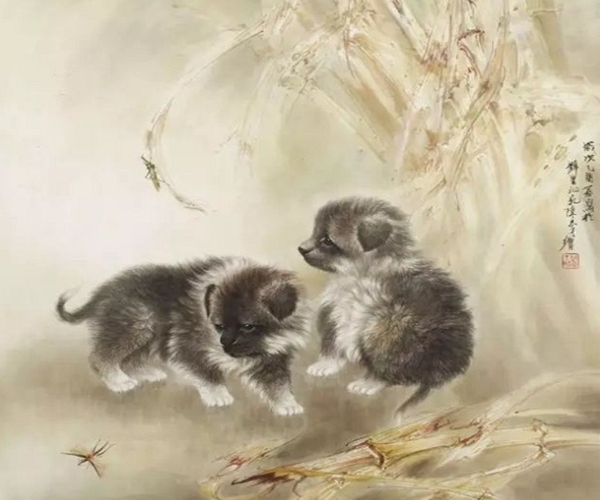 ##属狗人2020年的命运，算命老先生亲自为你解读，好运只此一回！