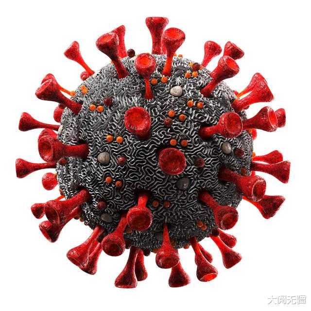 蝙蝠|新冠病毒源头指向蝙蝠，刺突蛋白成因复杂，不排除由人工重组合成