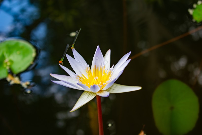 天蝎座|8月份，财神保佑遇见真爱，四面八方来好运，一富就暴富的4大星座
