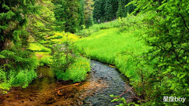 『白羊座』能躲就躲，能避就避，不太喜欢集体活动的4个星座