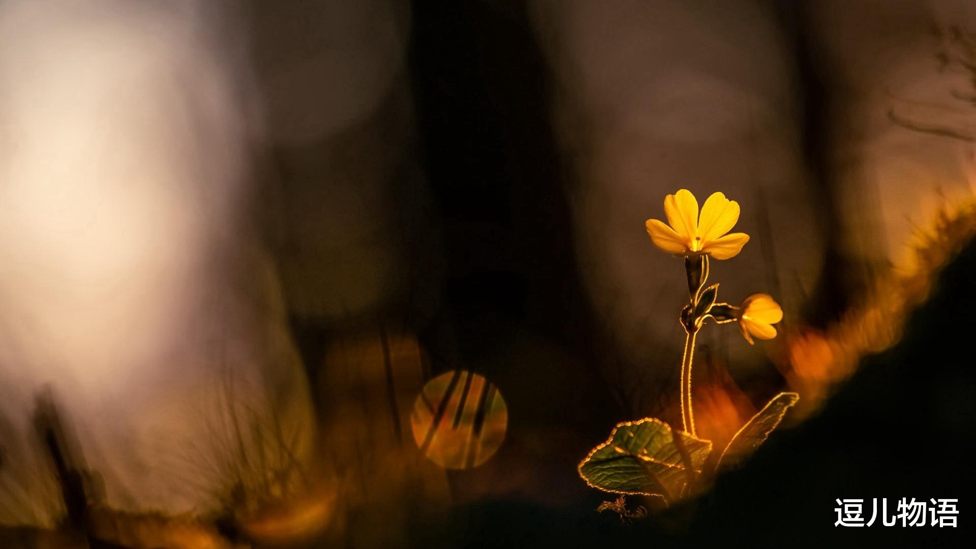 生肖■生肖羊：5月过后，运势差不了，横财降临，时机成熟