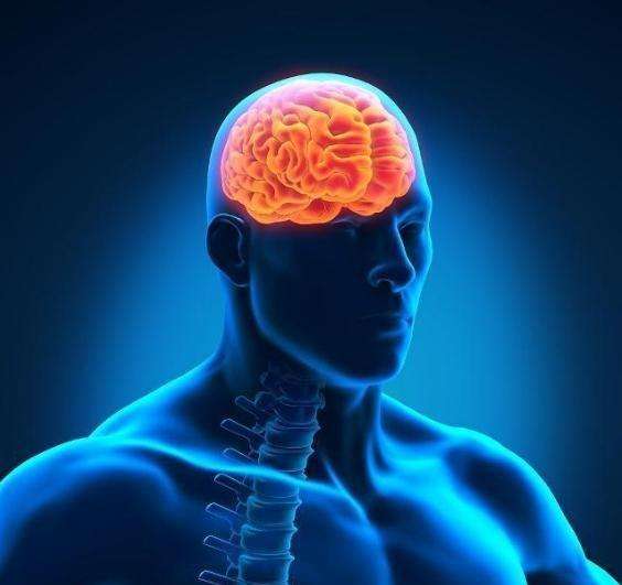 「玛雅人」为什么2012年之后,就感觉时间过得好快?(深度解析)