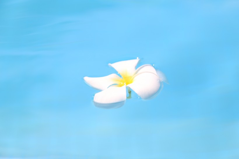 #生肖#7月末，不忘初心不舍别离，前缘将回头再续幸福的四大生肖