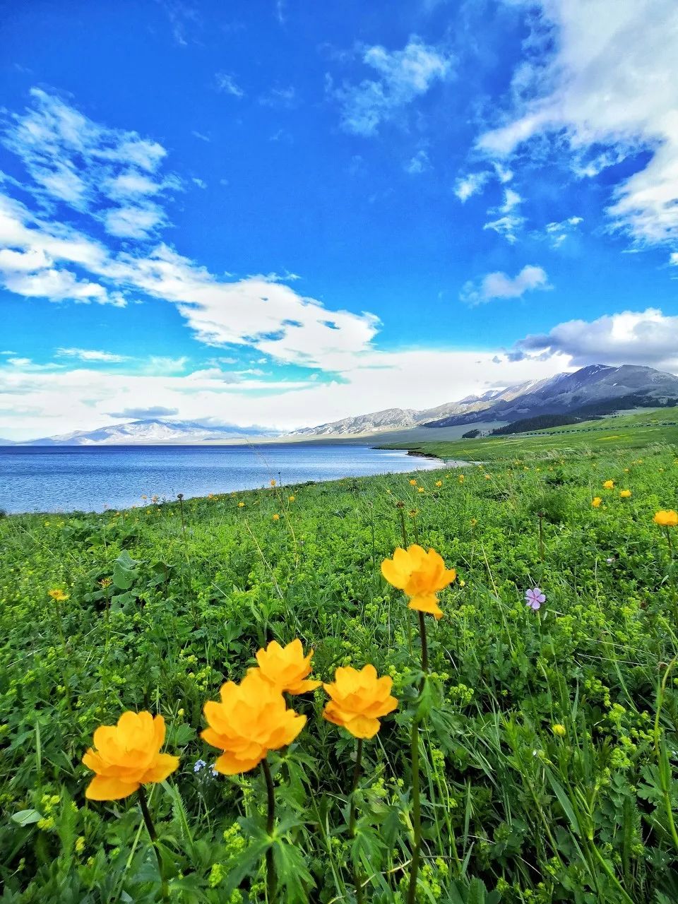 【新疆维吾尔自治区】去了北疆才知道，中国有多大；去了南疆才知道，中国有多美 美人美景