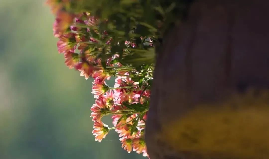 [十二星座]明天起，4生肖喜事成双、横财如雨，运势高涨，5月开口笑，6月喜成双