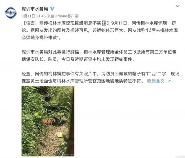 半岛晨报|网传一水库附近惊现巨蟒！真相来了
