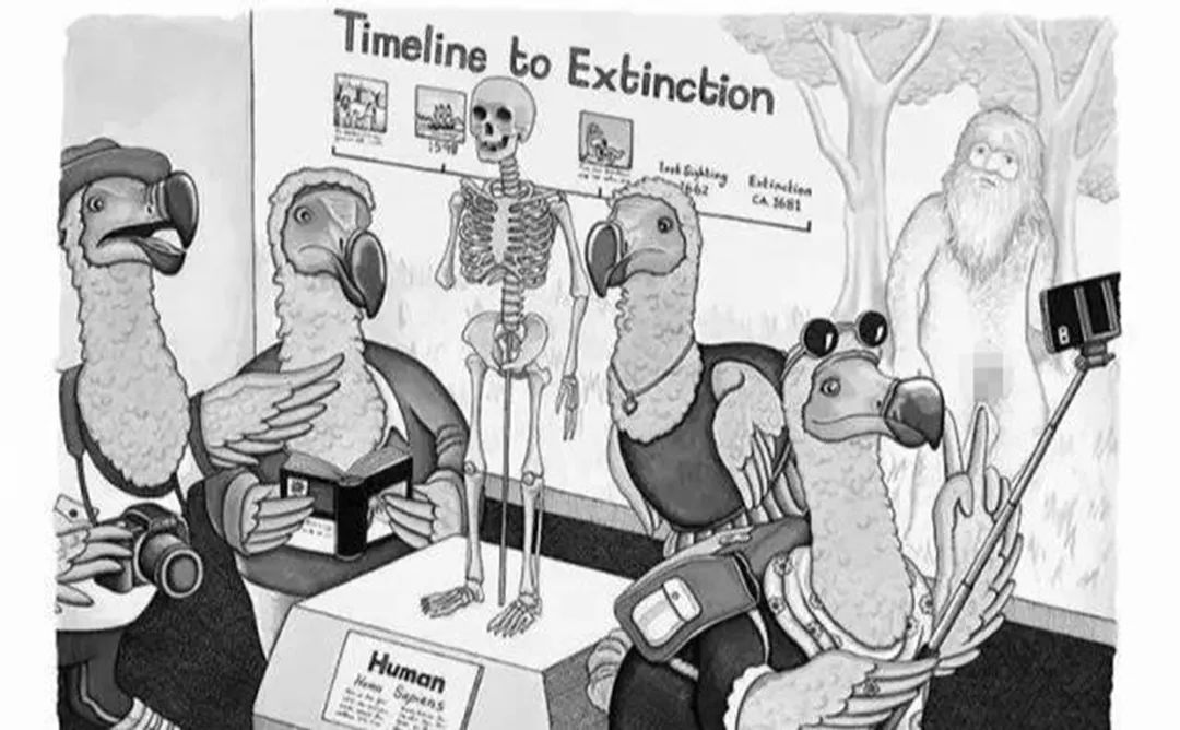 鲨鱼|9幅发人深省的漫画，当我们看完之后，会更加懂得保护动物