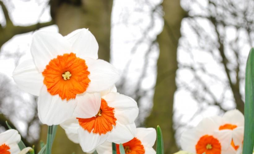 双鱼座|10月底，久旱逢雨，爱情宁缺毋滥，秋风袭来，真爱出现的4大星座