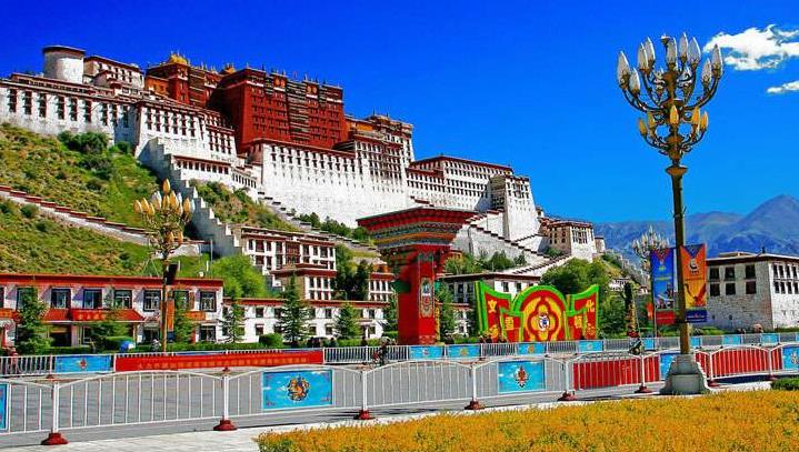 西藏|“种活一棵树奖励10万元！”中国面积最大的城市，全市无一棵大树