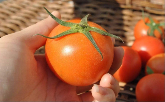 【银耳】去菜市场买菜，看见这4种菜再便宜也别买，菜贩子：从不给家人吃