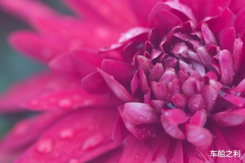 『』最近十天，必然翻身的属相！财运、事业一路翻红，走大运了