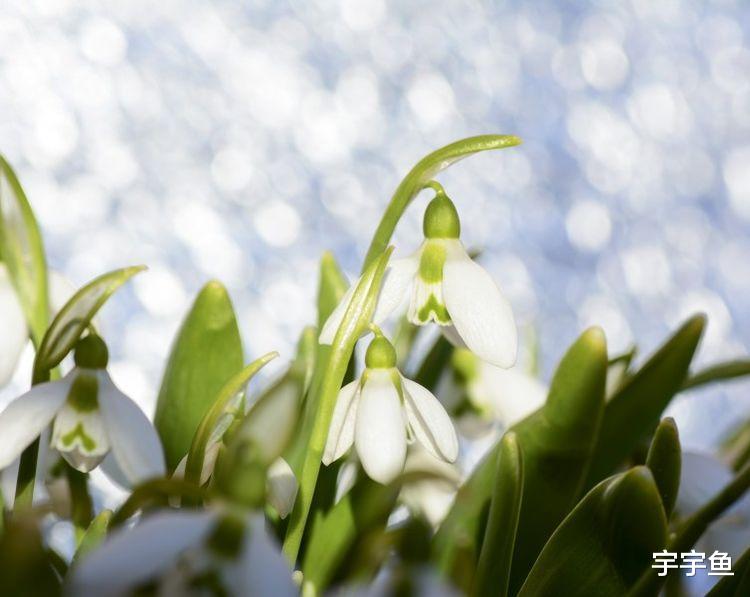 运势|9月开始运势飘红，财运旺盛年，咸鱼大翻身的四大生肖