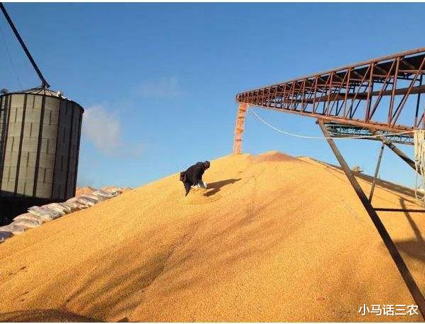 [春节]2020年疫情的发生，对我国玉米的进出口会有哪些影响？看完有数了