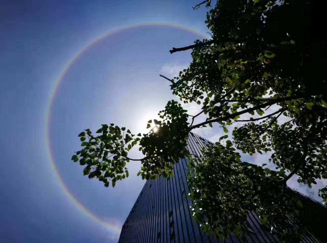 「科学家」人类最高能承受116℃高温，触摸20000℃时为什么不被烫伤