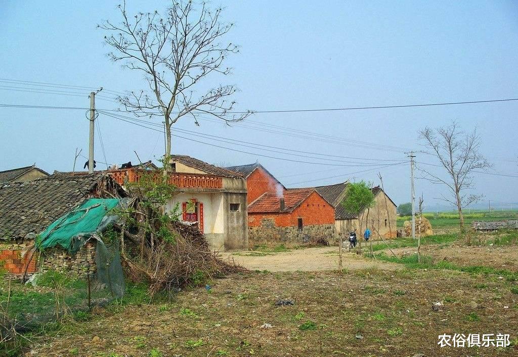 农俗俱乐部|不同意征收祖坟被刨坟一半?事后解释:来除草不熟悉路段误平坟