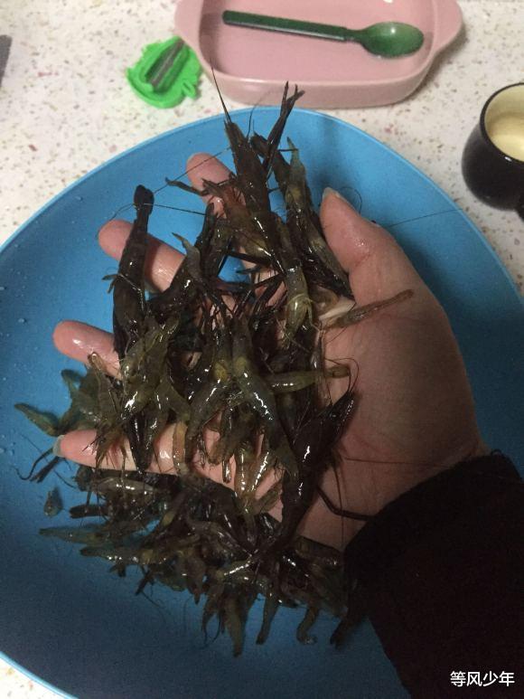 「鲫鱼」浙江金华河道闹“虾灾”？钓鱼者爱好者不再钓鱼，拿网兜直接捞虾！