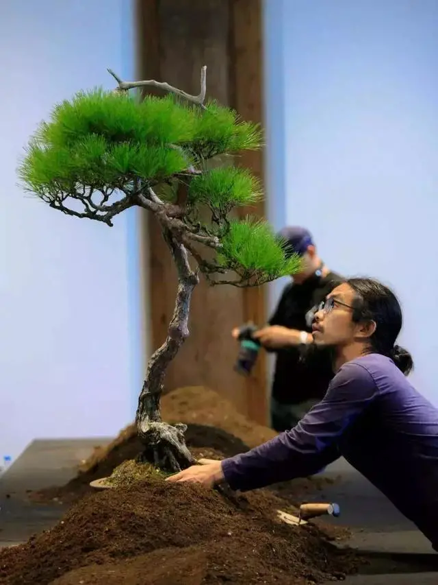 |太任性了，马云请吃饭，用800万的玉石来布景？