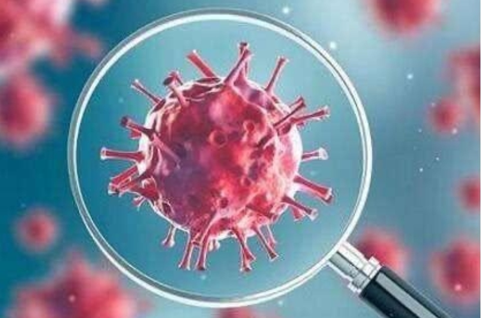 「美国」美首席科学家说漏嘴，零号病人身份已证实？证据确凿全球一片哗然