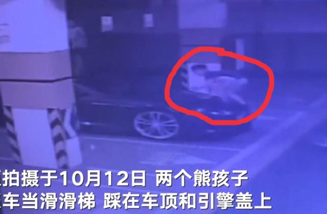 吉利汽车|两孩子把阿斯顿马丁当滑梯，爬上爬下要赔25万 车主：引擎盖坏了