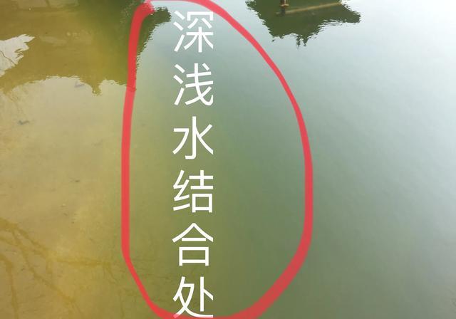 饵料|冬天鱼不开口怎么办？三个因素出了问题，三招来应对---皇禾钓具