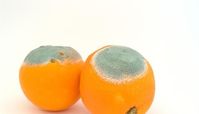 肝脏|肝脏发生病变，身体会有“2黄1臭”，一个不占，恭喜你肝很健康