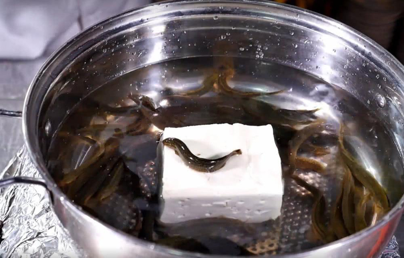 泥鳅|中国名菜泥鳅钻豆腐，真的是泥鳅钻进豆腐吗？实验“真相”来了