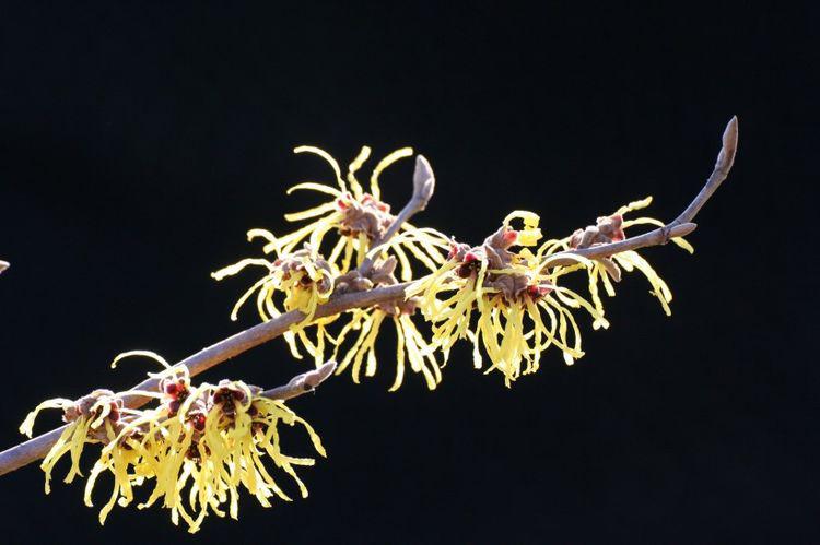 运势|未来5天，财运强势回归，爱情运势暴涨，充满好运的4大生肖