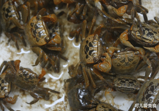 [螃蟹]它被称作是“天下奇鲜”，10斤都吃不出1两肉，海边人却抢着买！