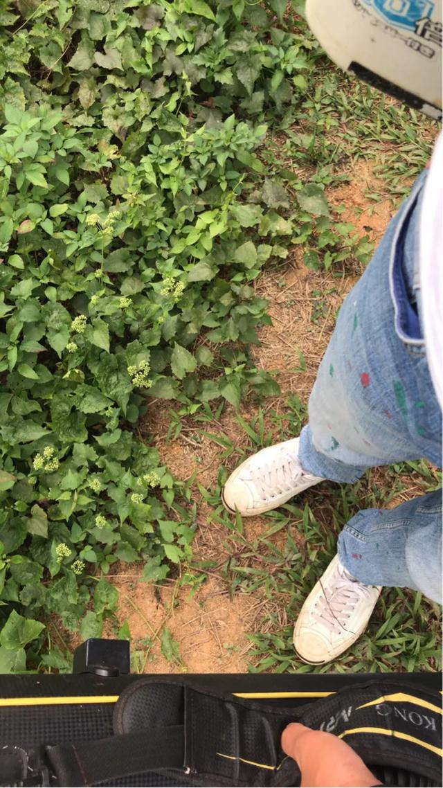 【】曾经无数钓鱼人挑战都屡屡失败的山涧野塘，今日前往探钓感慨万千