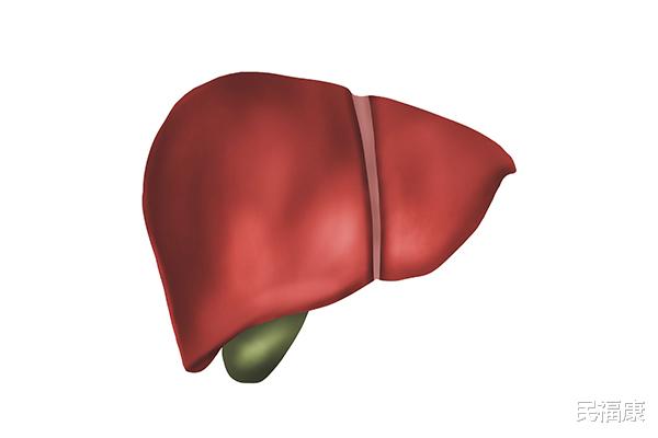 长寿|男子查出肝癌，九十天后过世，医生连连叹息：睡前不应该做此事