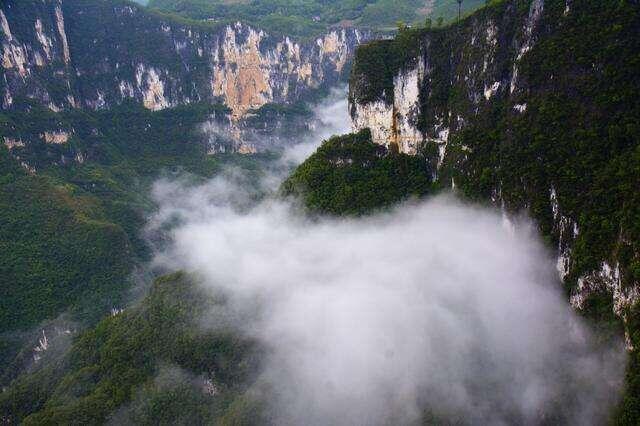 三亚|我国新开一个公园，面积375万亩，相当于一个城市面积