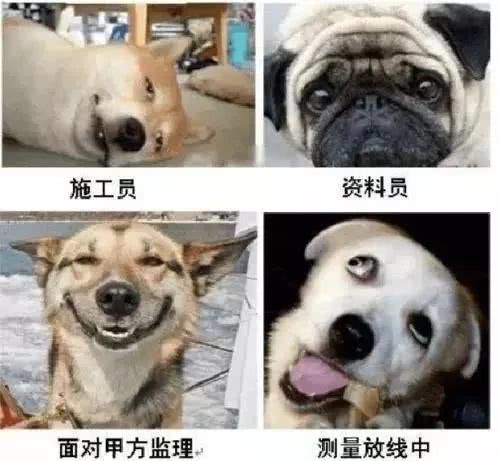 #表情包#大学专业的表情包合集 哪个专业才是最苦的？