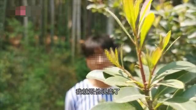 四川省▲4.5万卖掉一个肾，转手被卖出55万，23岁四川小伙：我当时需要钱