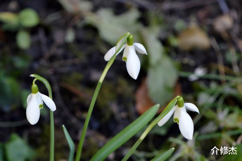 『运势』7月底红鸾星入命，桃花运驾临，真爱出现情缘到，执子之手的生肖