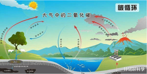 ##石油枯竭喊了这么久，咋还没用完？原来人类灭绝，石油都不会枯竭