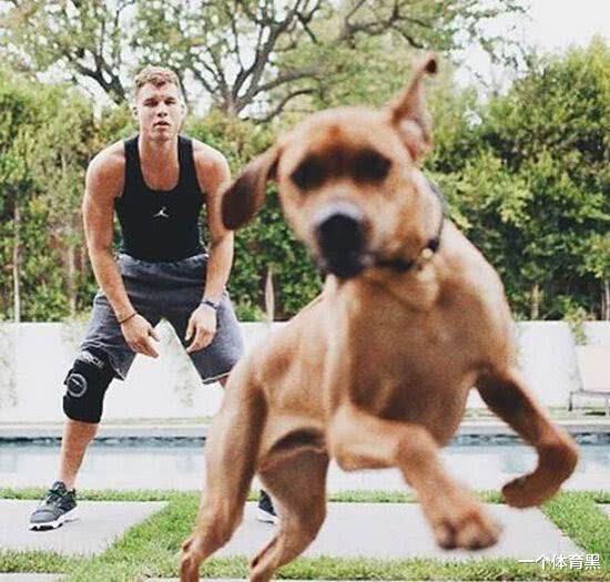 『奥尼尔』NBA球星养宠物分为5个等级，汤普森C级，奥尼尔SS级，那SSS级呢？