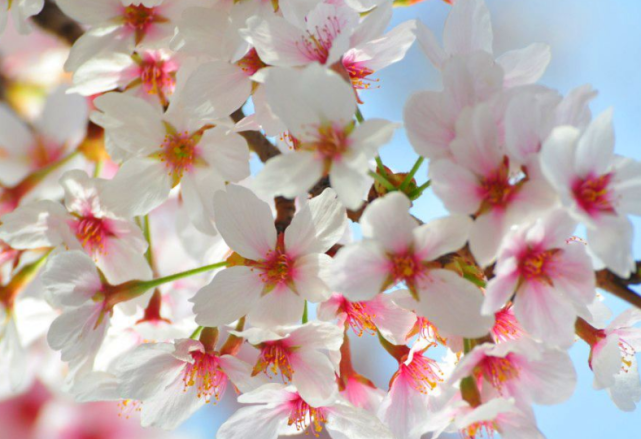 致命吸引力|这三属相在9月16号的到来时来运转，顺顺利利，升官发财