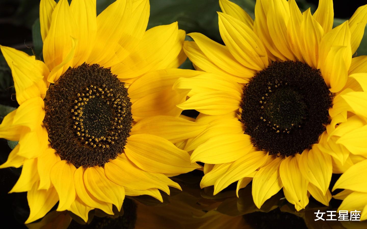 『』这4个生肖偏财运好，轻就能中个大奖改变一生运势