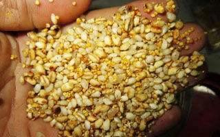 柳州▲如何能更好的垂钓到大鱼