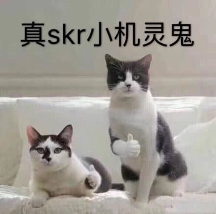 主人下班迟了，橘猫自己当大厨，接下来情形萌翻人
