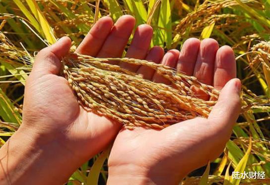 「通货膨胀」一旦发生通货膨胀，什么东西“最值钱”？历史证明它才是“硬货”