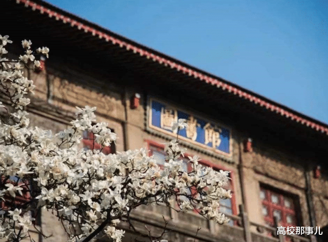 『填报志愿』高考刚达线志愿怎么填？掌握这4点原则，选到最好的学校