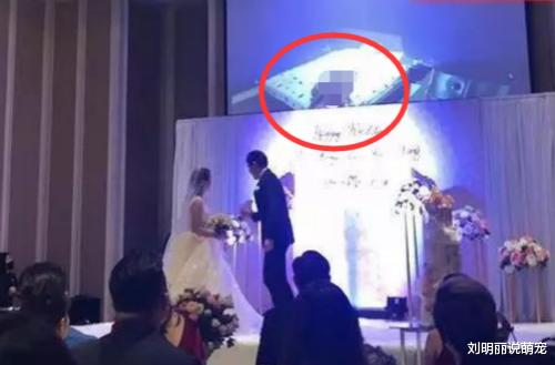 “姐夫门”事件后新郎把头像换上绿帽，姐姐做人流，一家人很伤心