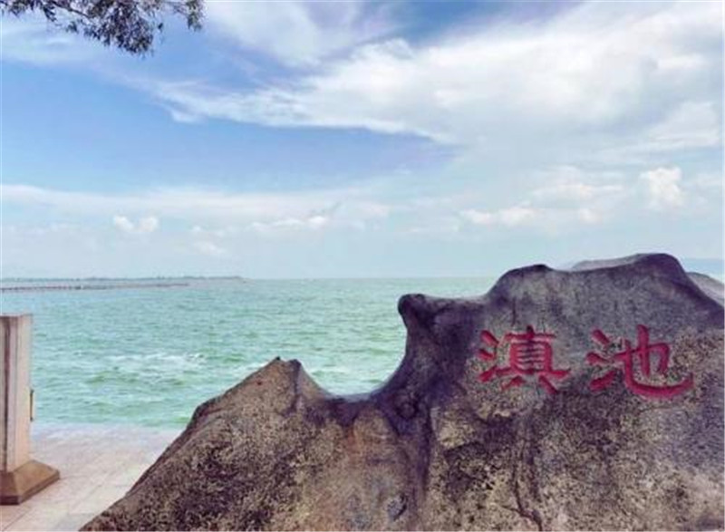 物种灭绝■原产中国的麦穗鱼,却是昆明湖物种灭绝元凶,如今已入侵欧洲