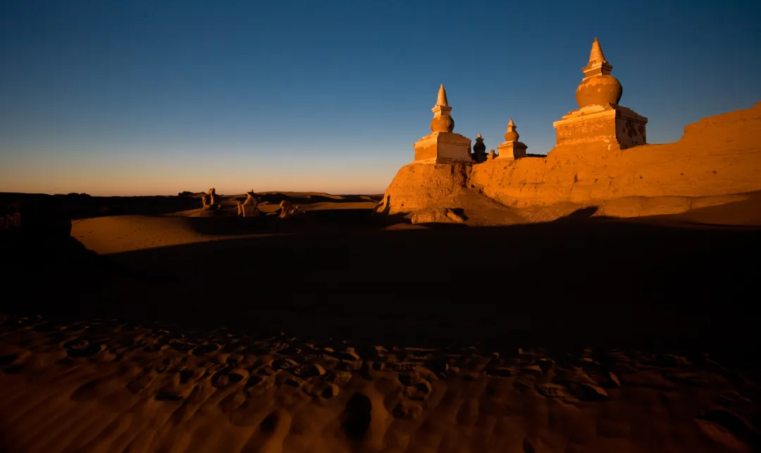 额济纳|忽然,想去额济纳了