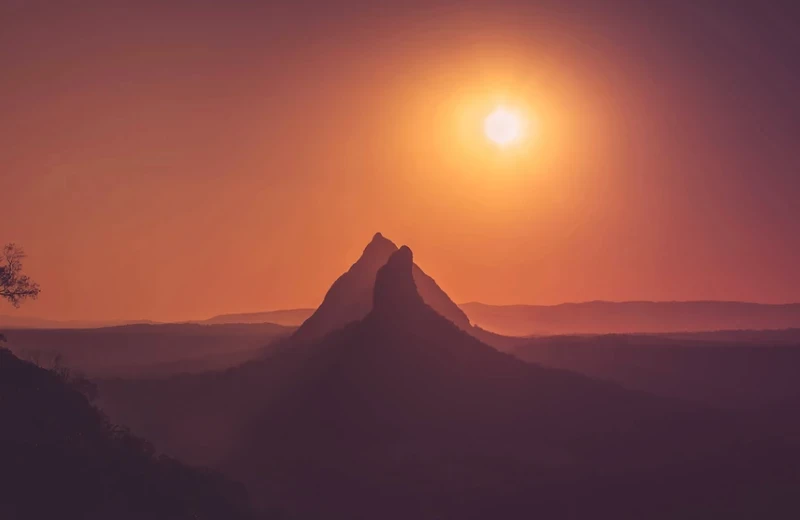 生肖|8月事业红红火火，收成满满，发展顺风顺水的生肖